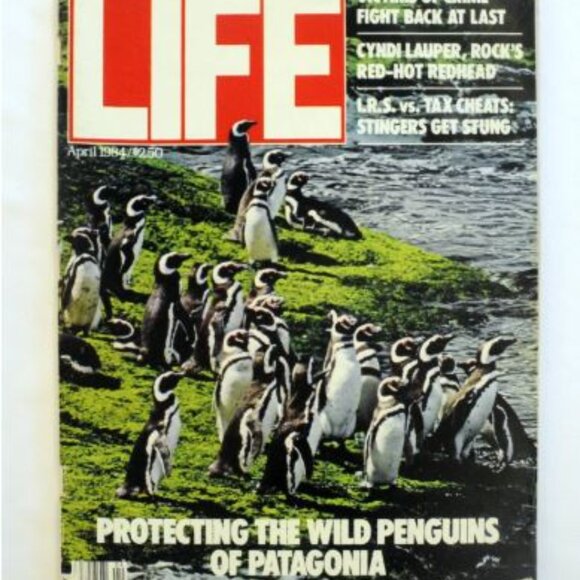 VTG 1984 LIFE Magazines Your CHOICE, Can Grizzles & People Coexist, Penguins - Picture 2 of 3